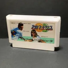 ワールドスーパーテニス　ファミコンソフト　まとめ買い歓迎