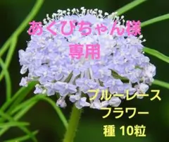 あくびちゃん様 リクエスト 4点 まとめ商品