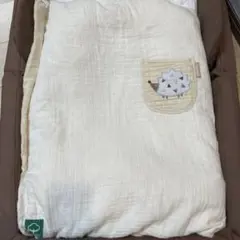 Item thumbnail for item 735da847-577f-43b6-bbc4-afd81d75c863