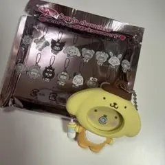 サンリオキャラクターズフォトバッジ付きマスコット