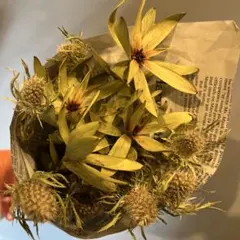 Item thumbnail for item 8814dec1-5688-41c1-ac26-b4cba34dd8ea