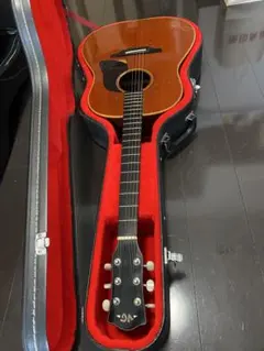 ＶＧ アコースティックギター VG VG-Zebra (Lutz Spruce & Zebrawood)|ドルフィンギターズ