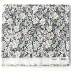 LIBERTY リバティ タナローン 110×30cm アリスネオン グレー