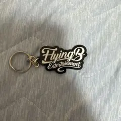 Item thumbnail for item 8bf64f4e-cc59-4233-863d-3677f8df5b8d