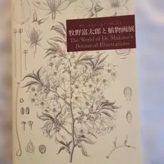 Item thumbnail for item 04d0ad35-27dd-4398-8162-69e221faf74a