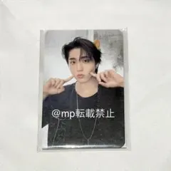 straykids 소울콘 플러시 크로스백 토레카 한