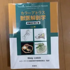 カラーアトラス獣医解剖学 上巻のみ
