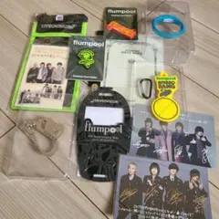 flumpool グッズ　まとめ売り 2025年最新】flumpoolの人気アイテム - メルカリ