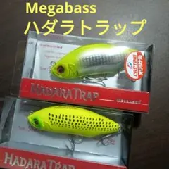 Item thumbnail for item 8b98d392-a53c-4619-956c-950b3e03ec0a