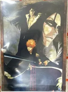 bleach ブリーチ　 2008 ポスター 黒崎一護　白一護　2枚 bleach ブリーチ 2008 ポスター 黒崎一護 白一護 2枚 Amazon.co