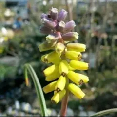 misato10様 リクエスト 2点 まとめ商品