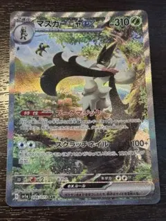 マスカーニャ ポケモンカードゲーム