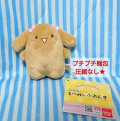 モカ　ならべてどーみぃふれんず　マスコット！　シナモンフレンズ　SANRIO