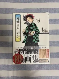 鬼滅の刃 初の画集/ 吾峠呼世晴画集/幾星霜