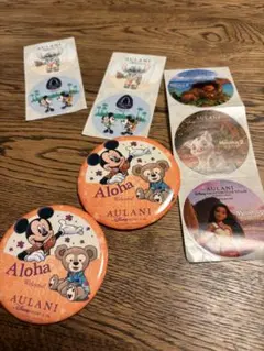 AULANI ディズニーリゾート 缶バッジ ステッカー セットのサムネイル