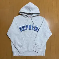 Supreme Icy Arc Hooded Sweatshirt 20aw