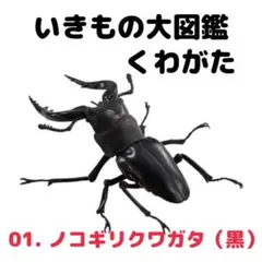クワガタ カプセルトイ