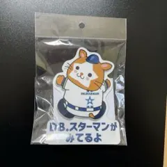DBスターマン　マグネットシート