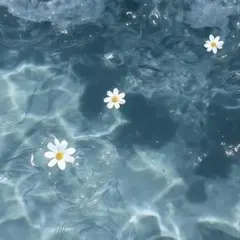 ごろりん様確認用