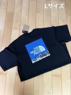 ザノースフェイス Tシャツ