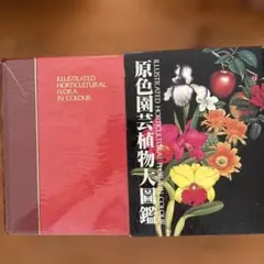 OGI様 リクエスト 2点 まとめ商品