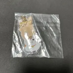ニャンコ先生　夏目友人帳　アクリルキーホルダー　一番くじ