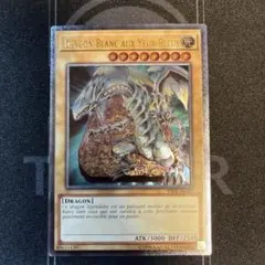 遊戯王 イタリア版 EU版 青眼の白龍 レリーフ OTS28 - メルカリ