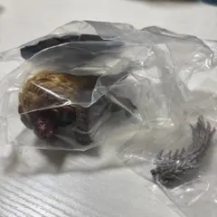 モンハン　フィギュア　ドシャグマ