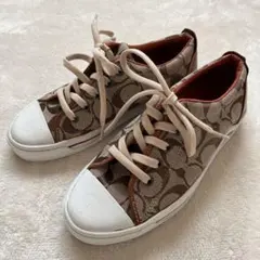 コーチ スニーカー シグネチャー キャンバス ローカット レディース　通学　通勤