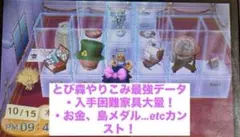 とびだせどうぶつの森　やり込み