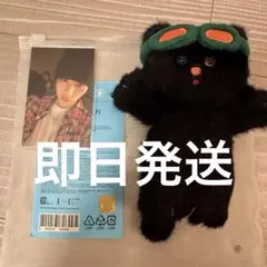 2025年最新】Boynextdoor テサン ぬいぐるみの人気アイテム