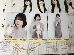 乃木坂46 筒井あやめ フォトアルバム 生写真 多種 コンプ 2618326768.jpg?1750898041