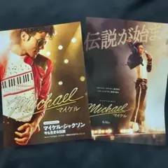 Russ Meyer Vixen Box 告知チラシ 2枚セット - メルカリ