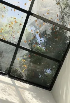 nana様おまとめ買い専用