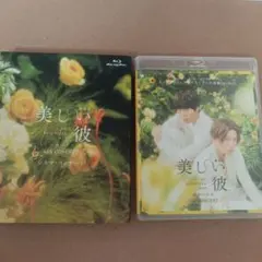 美しい彼 DVD BOX ブックレット付き - メルカリ