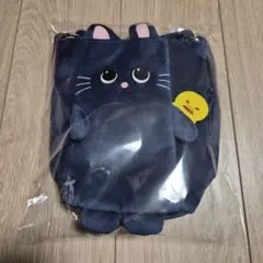 RIIZE ウォンビン FANLIGHT バッグ