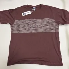 ハンテン HANG TEN パネルロゴ Tシャツ LL ボルドーのサムネイル