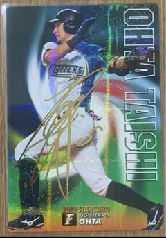 2019 プロ野球チップス サイン 北海道日本ハムファイターズ 大田泰示