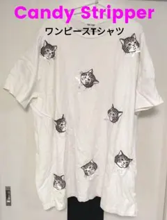 キャンディーストリッパー　猫さんオーバーTシャツ