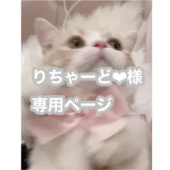 りちゃーど❤︎様専用ページ