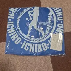 Item thumbnail for item 56b5363c-d55b-42ca-8494-62fb6b2d0a24