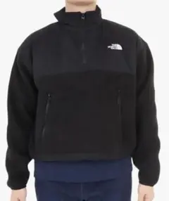 THE NORTH FACE フリース ジャケットプルオーバーデナリジャケット