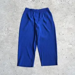 HOMME PLISSE ISSEY MIYAKE パンツ HP11JF123 - メルカリ