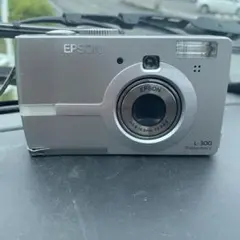 希少】EPSON CP-800S オールドデジカメ エプソン - メルカリ