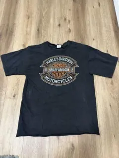 90s〜00s USA製ハーレーダビッドソン Tシャツ フェード 蛇 ボロ XL