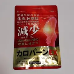 Item thumbnail for item 026b7871-bd69-47e8-9d91-510997a5f65c