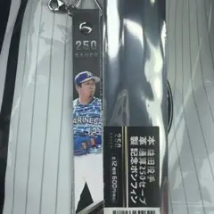 益田直也 通算250S記念ボンフィン