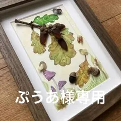 ぷうあ様専用です。シーグラスアート ドングリと小鳥 キノコ ミニみのむし 水彩画