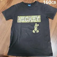 Item thumbnail for item 8c09b599-d9e2-478c-8b0f-d15fd1c01a82