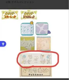【未開封】　ポケモン タオル　イーブイ
